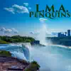 L.M.A - Penquins